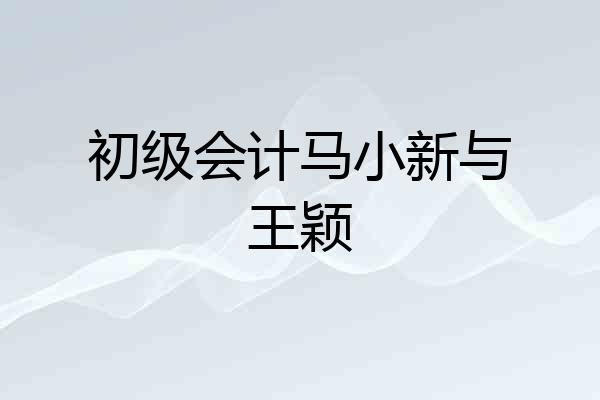 初级会计马小新与王颖