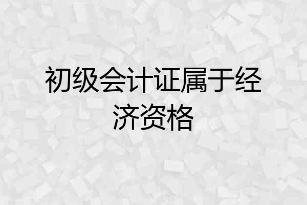 初级会计证属于经济资格