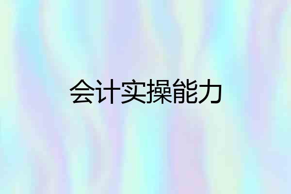 会计实操能力