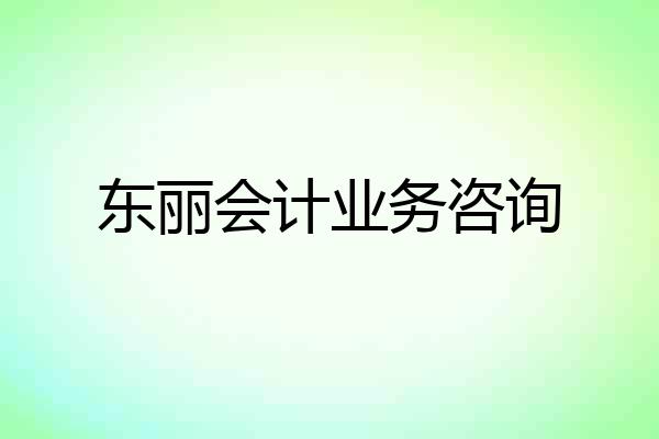 东丽会计业务咨询