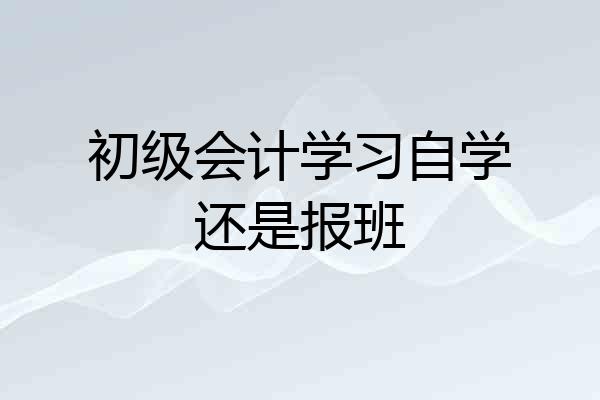 初级会计学习自学还是报班