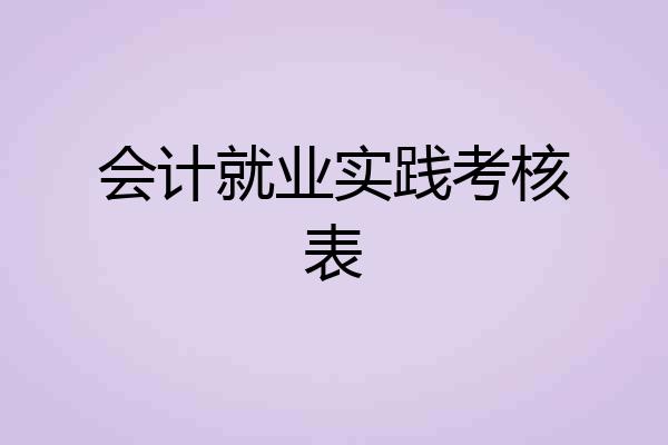 会计就业实践考核表