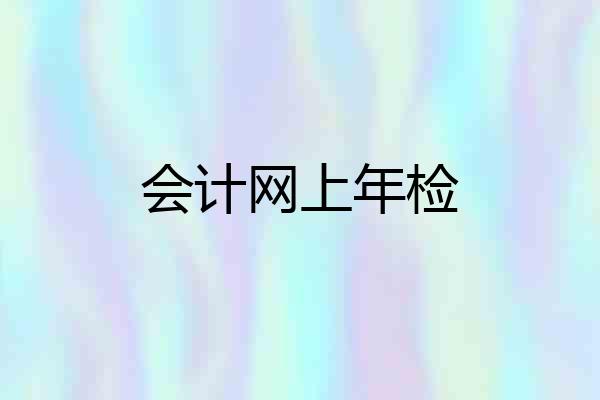 会计网上年检