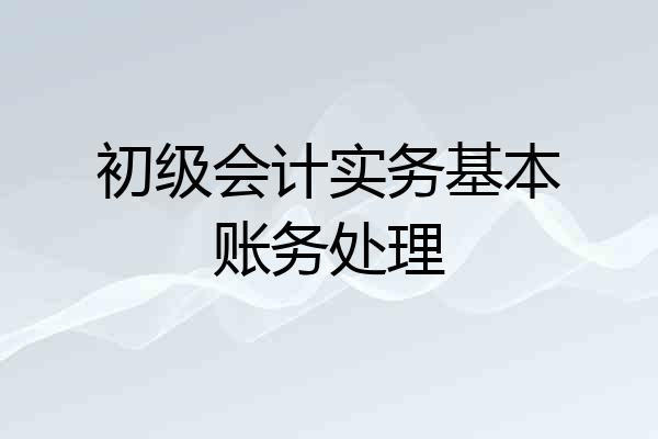 初级会计实务基本账务处理