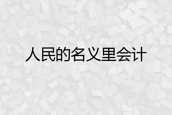 人民的名义里会计
