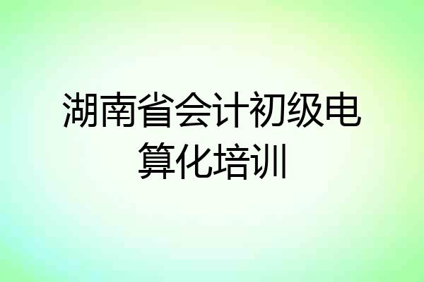 湖南省会计初级电算化培训