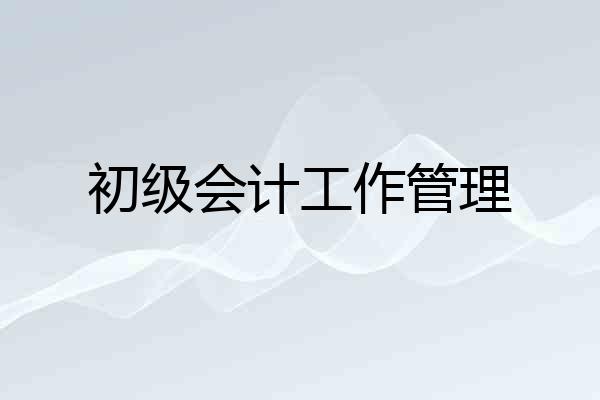初级会计工作管理