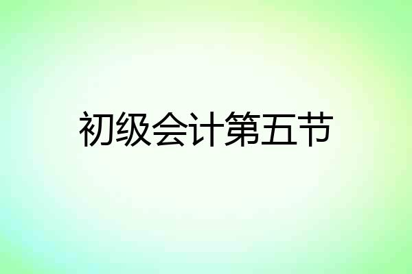 初级会计第五节