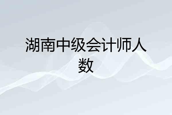 湖南中级会计师人数