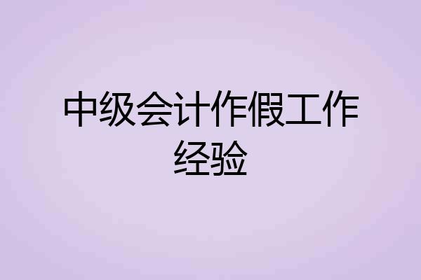 中级会计作假工作经验