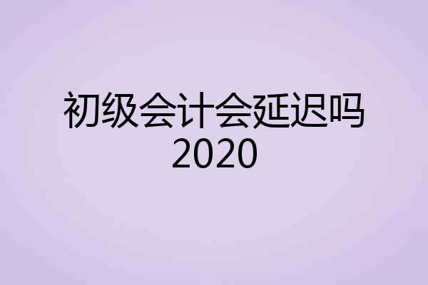 初级会计会延迟吗2020