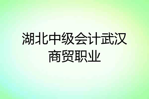 湖北中级会计武汉商贸职业
