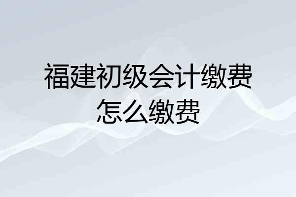 福建初级会计缴费怎么缴费