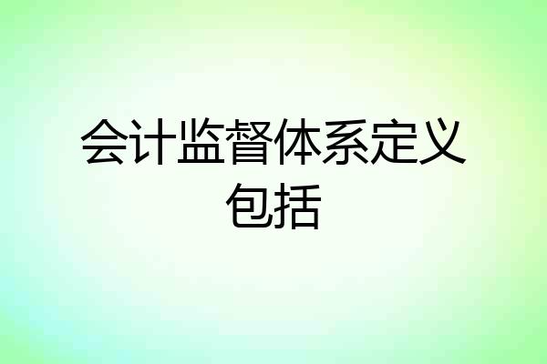 会计监督体系定义包括