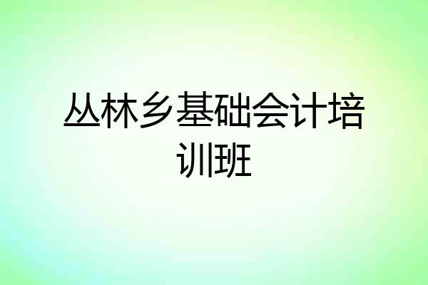 丛林乡基础会计培训班