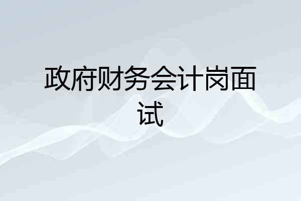 政府财务会计岗面试