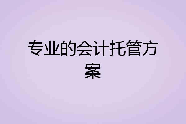 专业的会计托管方案