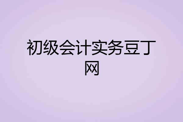 初级会计实务豆丁网