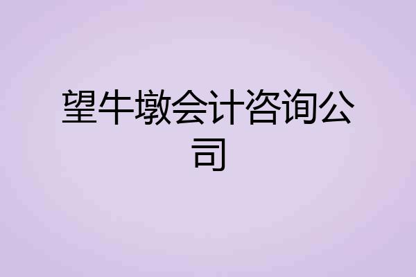 望牛墩会计咨询公司