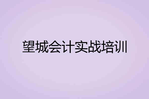 望城会计实战培训