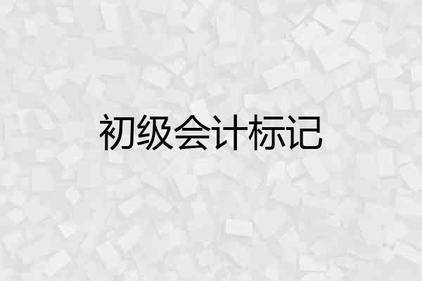 初级会计标记