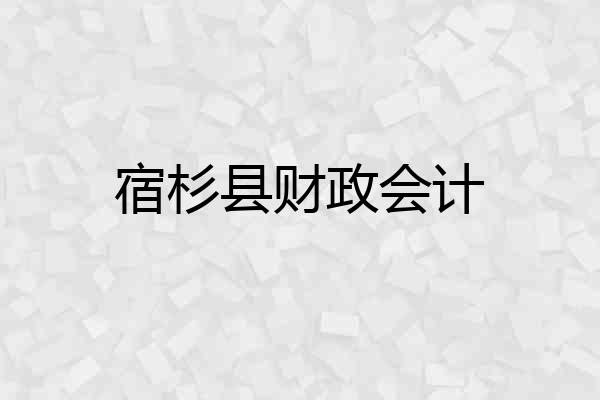 宿杉县财政会计