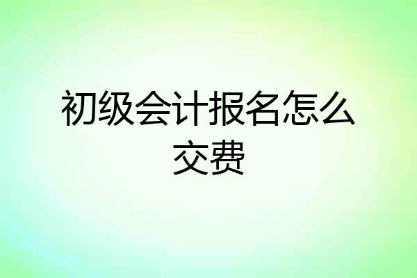 初级会计报名怎么交费