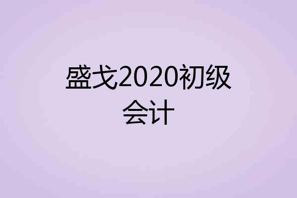 盛戈2020初级会计