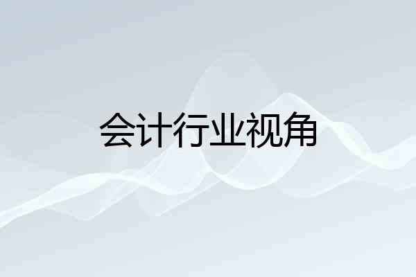 会计行业视角