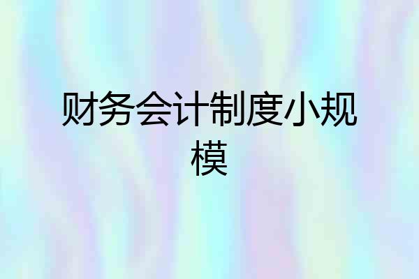 财务会计制度小规模
