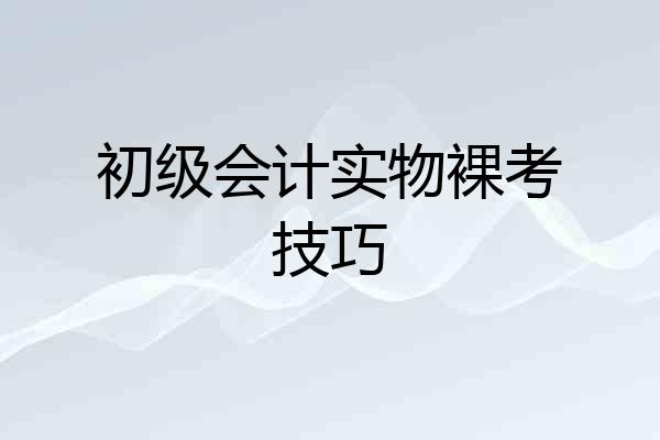 初级会计实物裸考技巧
