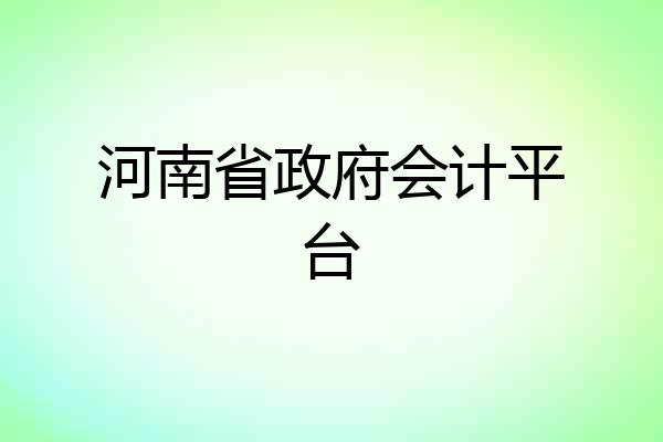 河南省政府会计平台