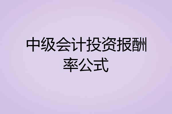 中级会计投资报酬率公式