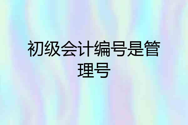 初级会计编号是管理号