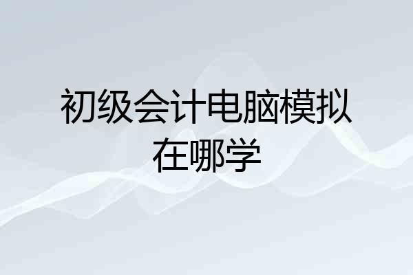 初级会计电脑模拟在哪学