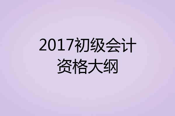 2017初级会计资格大纲