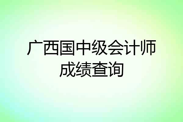 广西国中级会计师成绩查询