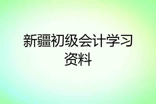 新疆初级会计学习资料