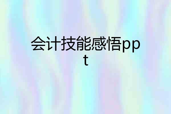 会计技能感悟ppt