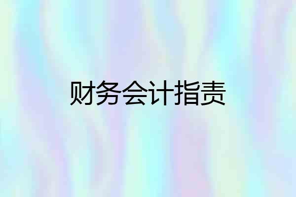 财务会计指责