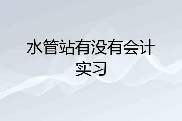水管站有没有会计实习