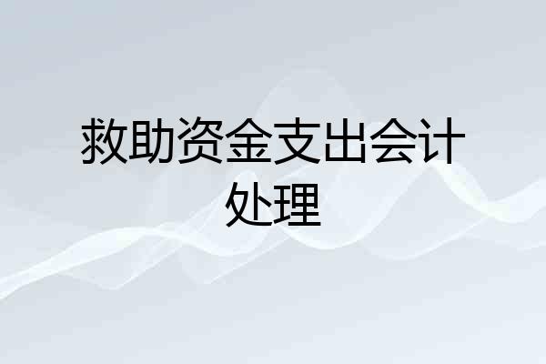 救助资金支出会计处理