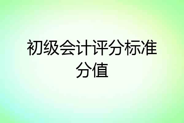 初级会计评分标准分值
