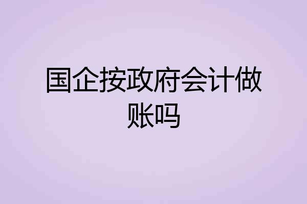 国企按政府会计做账吗