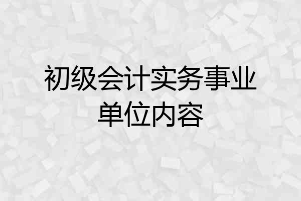 初级会计实务事业单位内容