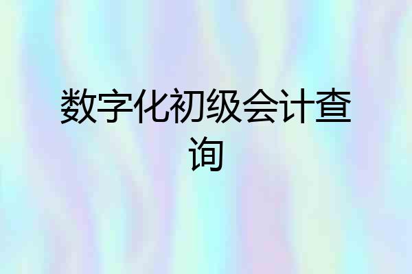数字化初级会计查询
