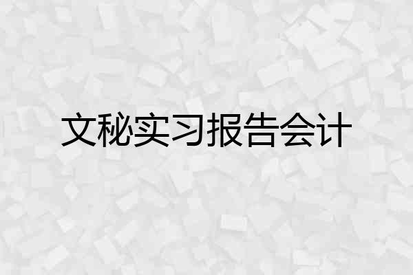 文秘实习报告会计
