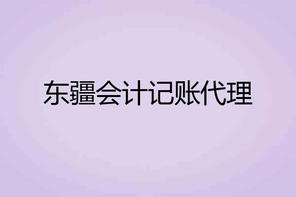 东疆会计记账代理