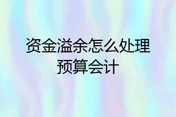 资金溢余怎么处理预算会计