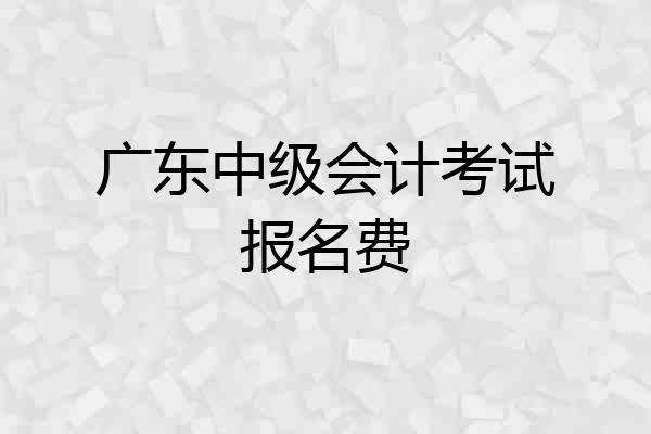 广东中级会计考试报名费